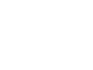 chauvet_logo